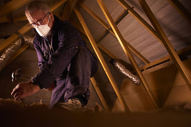 Best Insulation Maintenance and Repair in Walnut Creek, NC