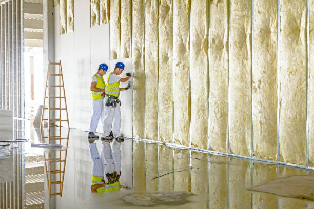 Best Insulation Installation Services in Walnut Creek, NC